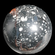 Massive Orthoceras sphere 195mm 10860g Rocks and Things Store