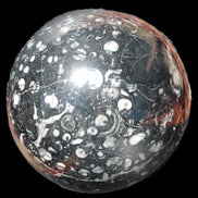 Massive Orthoceras sphere 195mm 10860g Rocks and Things Store