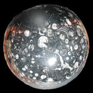 Massive Orthoceras sphere 195mm 10860g Rocks and Things Store