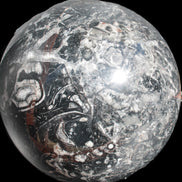 Massive Orthoceras sphere 195mm 10860g Rocks and Things Store