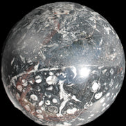 Massive Orthoceras sphere 195mm 10860g Rocks and Things Store