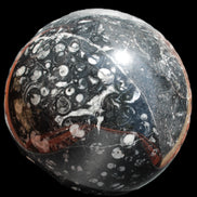 Massive Orthoceras sphere 195mm 10860g Rocks and Things Store