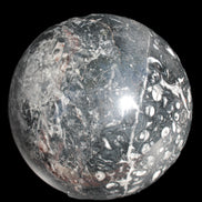 Massive Orthoceras sphere 195mm 10860g Rocks and Things Store