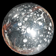 Massive Orthoceras sphere 195mm 10860g Rocks and Things Store