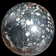 Massive Orthoceras sphere 195mm 10860g Rocks and Things Store