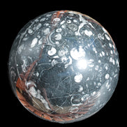 Massive Orthoceras sphere 195mm 10860g Rocks and Things Store