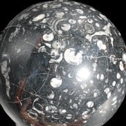 Massive Orthoceras sphere 195mm 10860g Rocks and Things Store