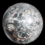 Massive Orthoceras sphere 195mm 10860g Rocks and Things Store