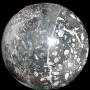 Massive Orthoceras sphere 195mm 10860g Rocks and Things Store