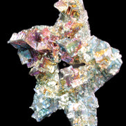Spectacular Bismuth rainbow star 106*102*30mm 277g in sunlight - Rocks and Things Store