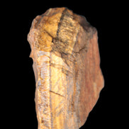 Golden Tigers Eye natural stone 100g Rocks and Things