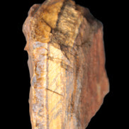 Golden Tigers Eye natural stone 100g Rocks and Things