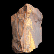 Golden Tigers Eye natural stone 100g Rocks and Things