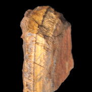 Golden Tigers Eye natural stone 100g Rocks and Things