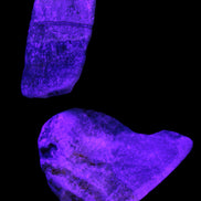 Bumblebee Jasper stones 40g in UV light