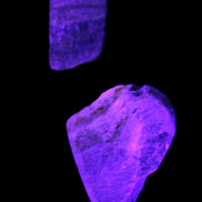 Bumblebee Jasper stones 40g in UV light