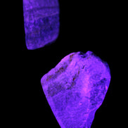 Bumblebee Jasper stones 40g in UV light - Rocks and Things Store