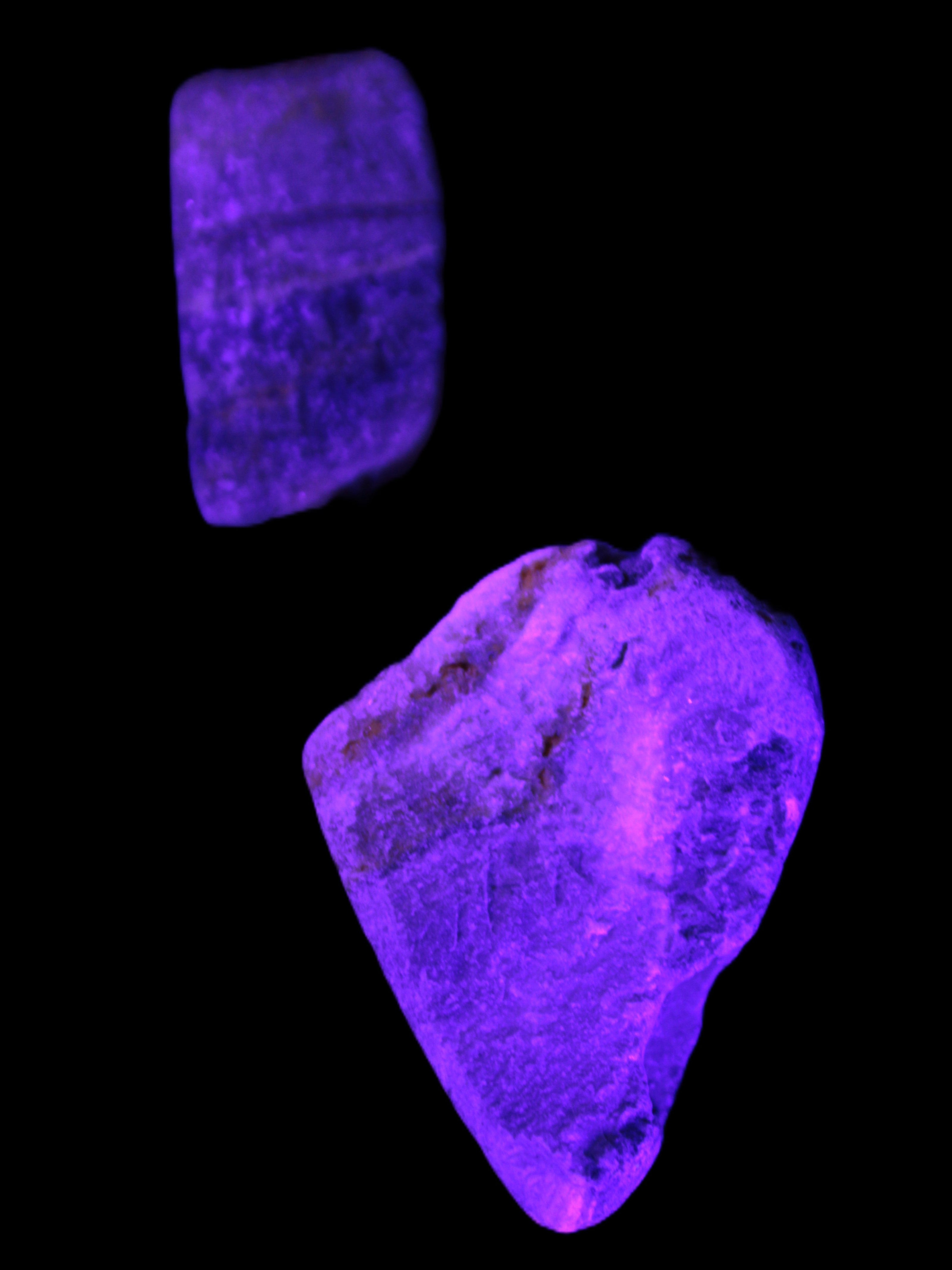 Bumblebee Jasper stones 40g in UV light - Rocks and Things Store