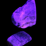 Bumblebee Jasper stones 40g in UV light - Rocks and Things Store