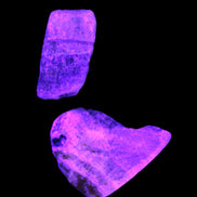 Bumblebee Jasper stones 40g in UV light - Rocks and Things Store