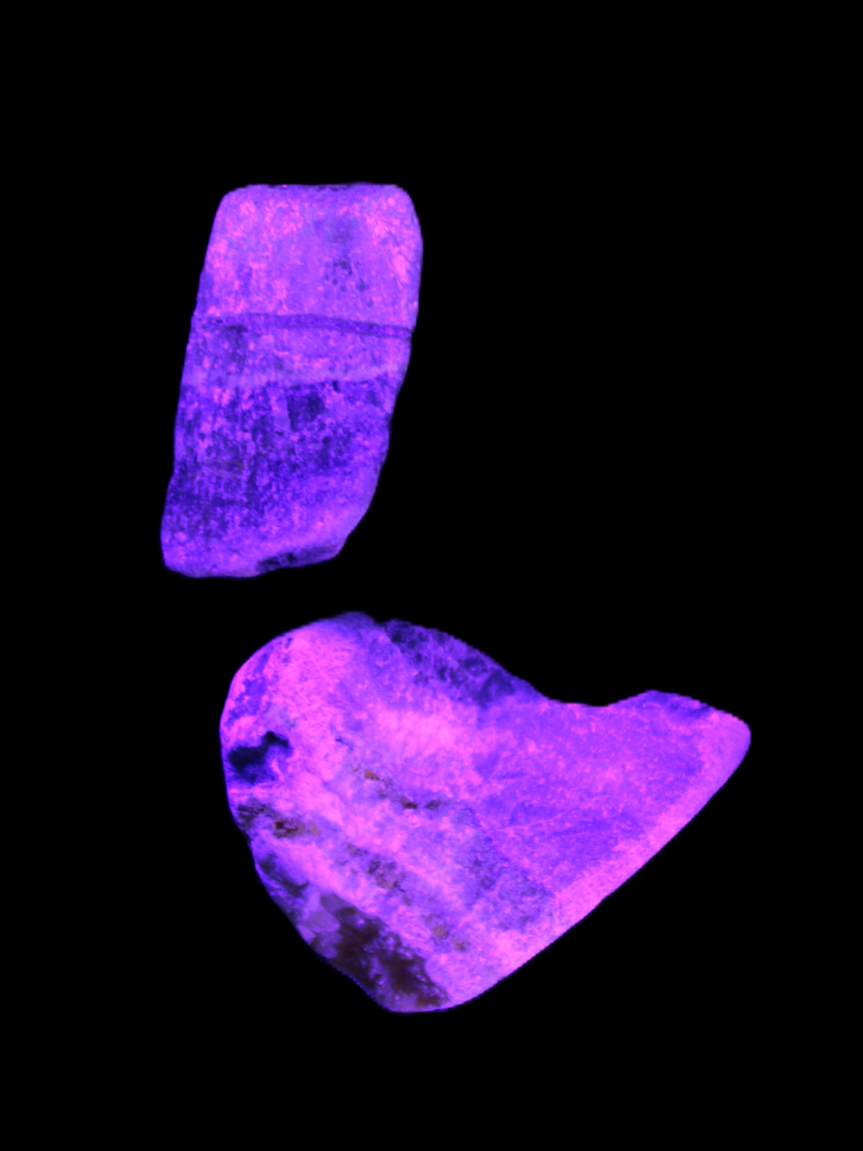 Bumblebee Jasper stones 40g in UV light - Rocks and Things Store