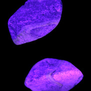 Bumblebee Jasper stones 44g - Rocks and Things Store