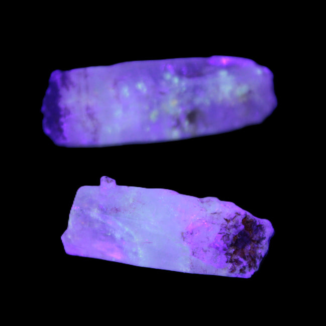 Two Fenster skeletal Enhydro crystals with hydrocarbons 3.6-14.9g in UV light - Rocks and Things Store