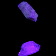 Two Fenster skeletal Enhydro crystals with hydrocarbons 3.6-14.9g