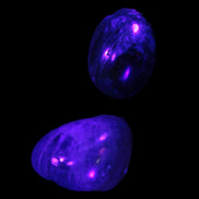 Blue Apatite 2 tumbled stones 15-19g in UV light - Rocks and Things Store