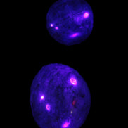 Blue Apatite 2 tumbled stones 15-19g in UV light - Rocks and Things Store