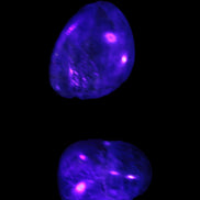 Blue Apatite 2 tumbled stones 15-19g in UV light - Rocks and Things Store