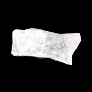 Satyaloka Azeztulite Quartz 12-14g