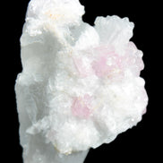 Pink Tourmaline on Albite Feldspar from Afghanistan 17g in sunlight