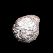 Carbonado natural stones from Egypt 16-18g Rocks and Things Store