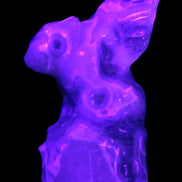 Aquatic Moss Agate hand-carved Felguard 54*100mm 322g