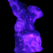 Aquatic Moss Agate hand-carved Felguard 54*100mm 322g