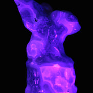 Aquatic Moss Agate hand-carved Felguard 54*100mm 322g