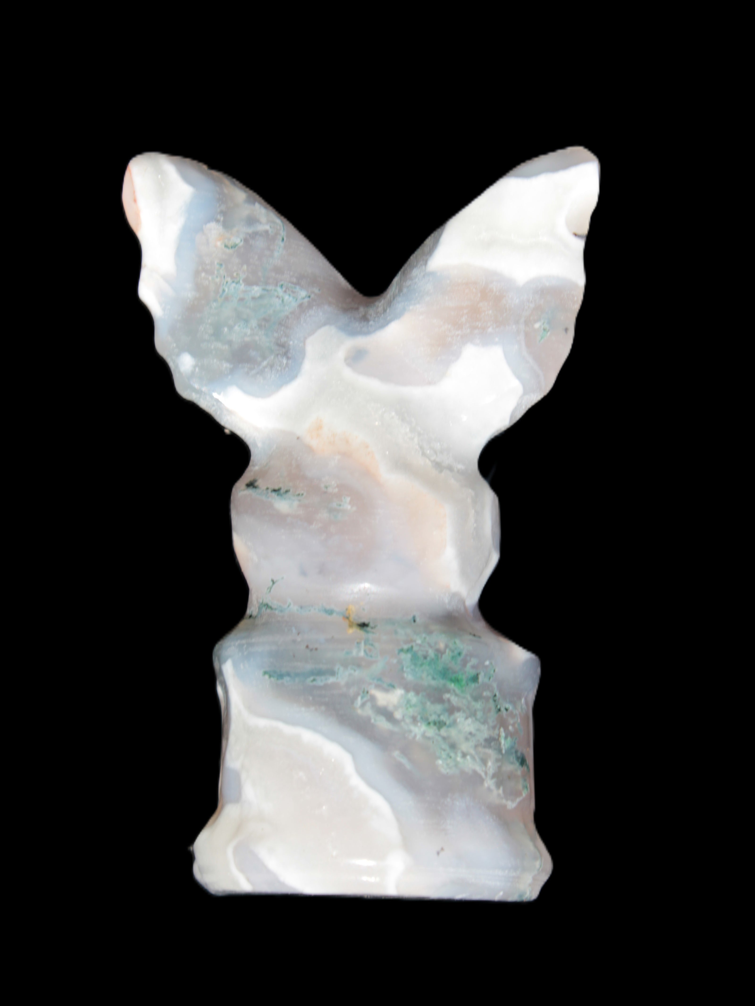 Aquatic Moss Agate hand-carved Felguard 54*100mm 322g