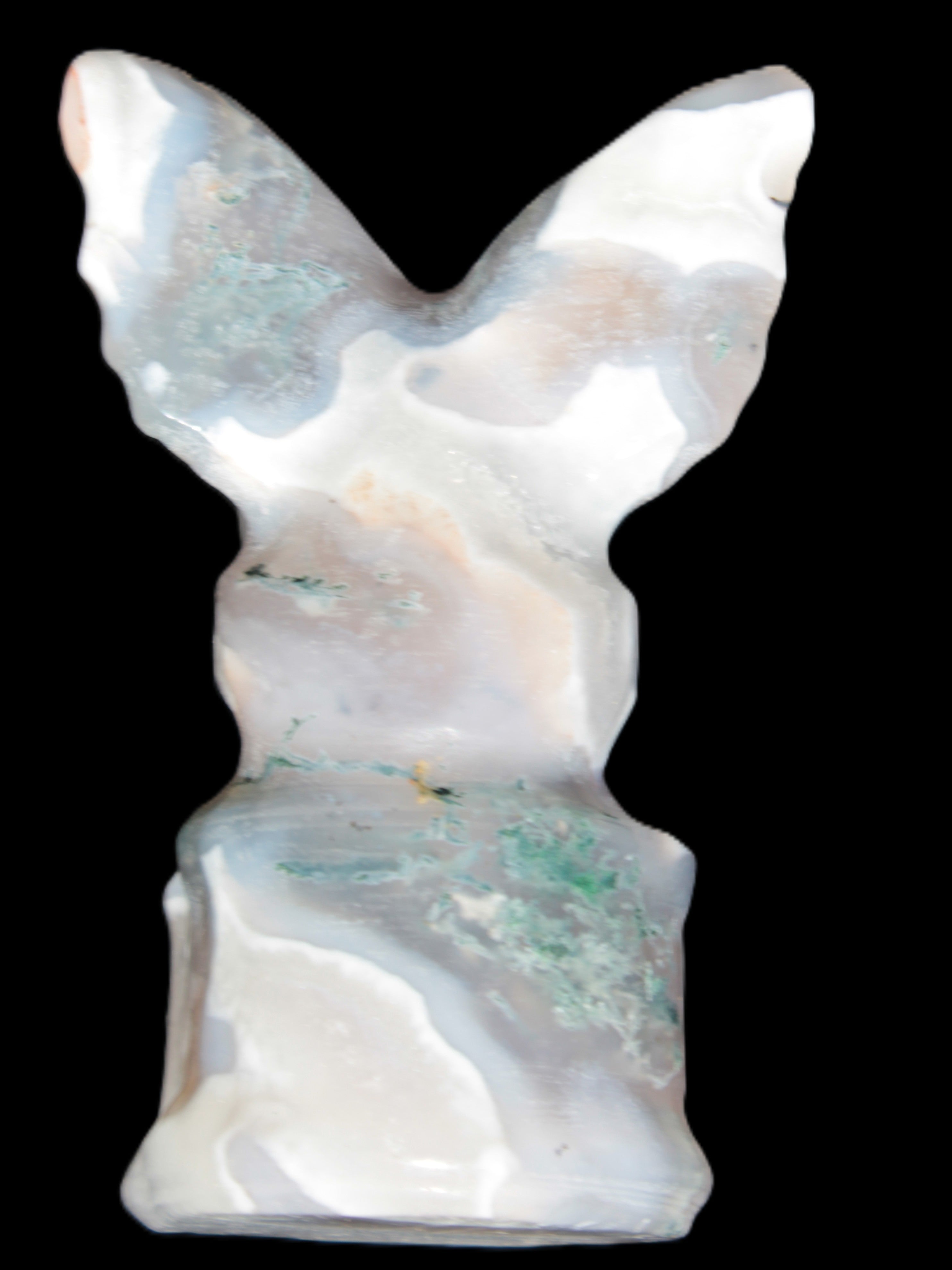 Aquatic Moss Agate hand-carved Felguard 54*100mm 322g