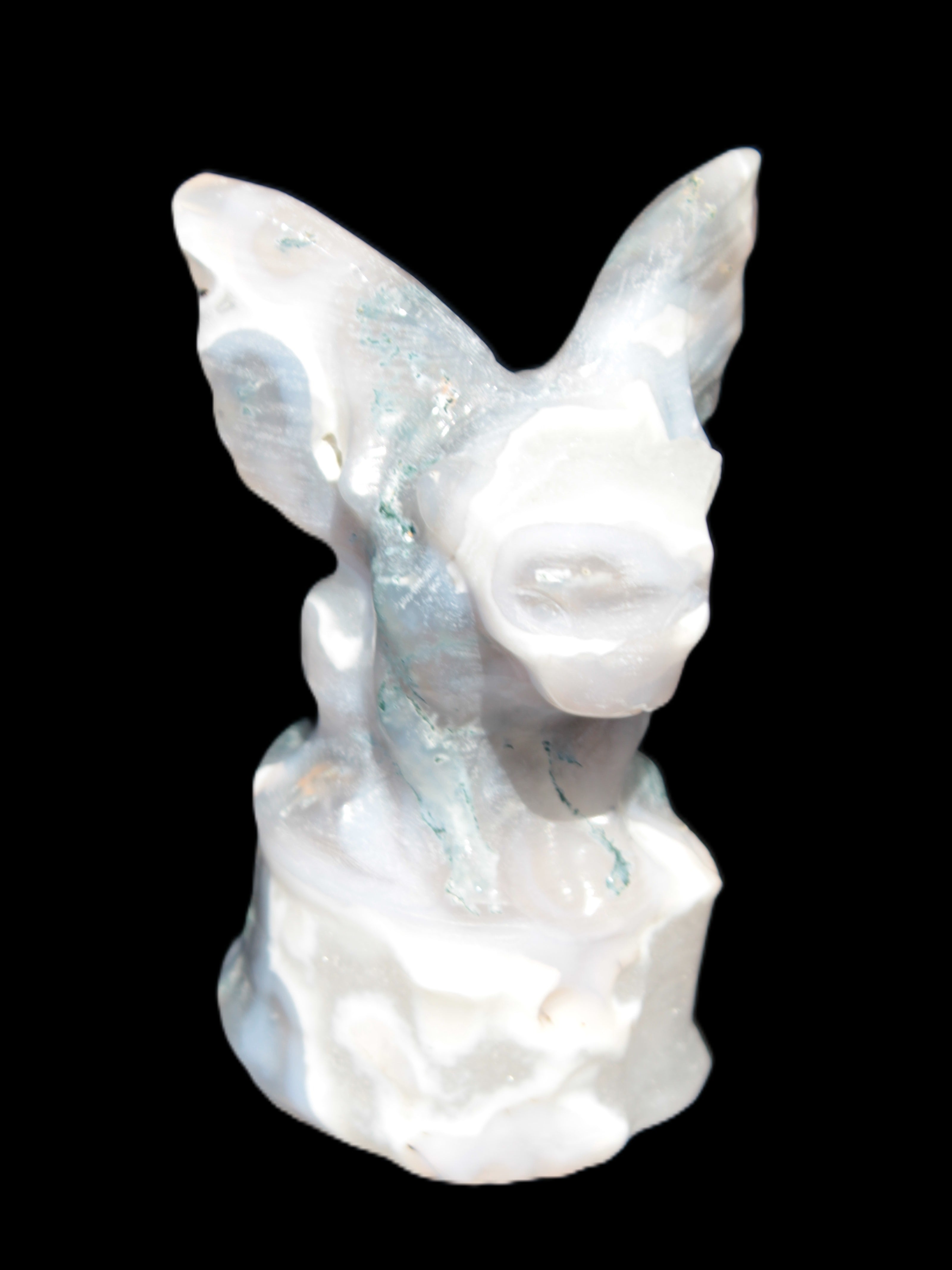 Aquatic Moss Agate hand-carved Felguard 54*100mm 322g
