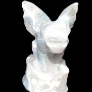 Aquatic Moss Agate hand-carved Felguard 54*100mm 322g