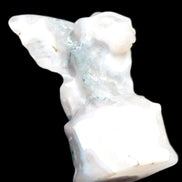 Aquatic Moss Agate hand-carved Felguard 54*100mm 322g