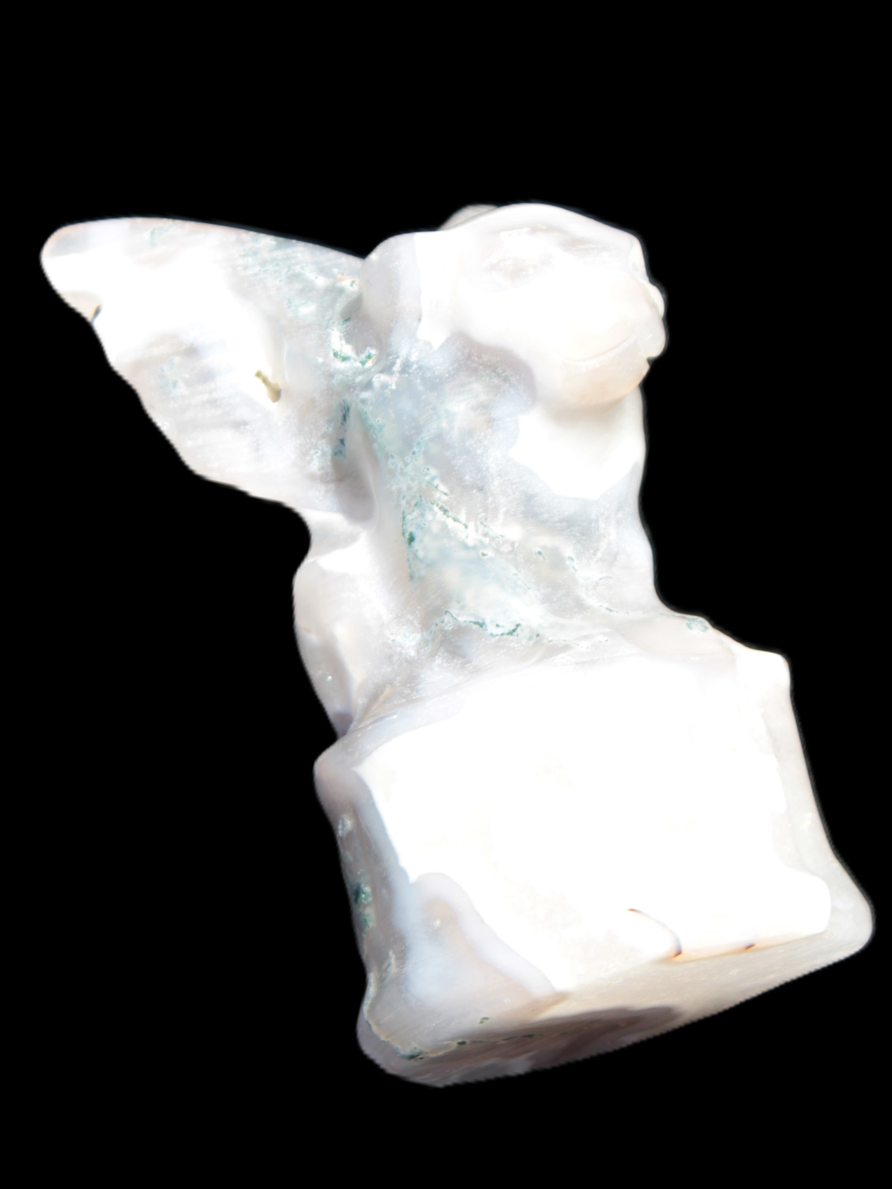 Aquatic Moss Agate hand-carved Felguard 54*100mm 322g