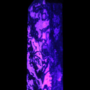 Ocean Moss Agate obelisk 35*147mm 413g in UV light - Rocks and Things Store