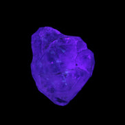 Fenster Enhydro Quartz with hydrocarbons 13-14g