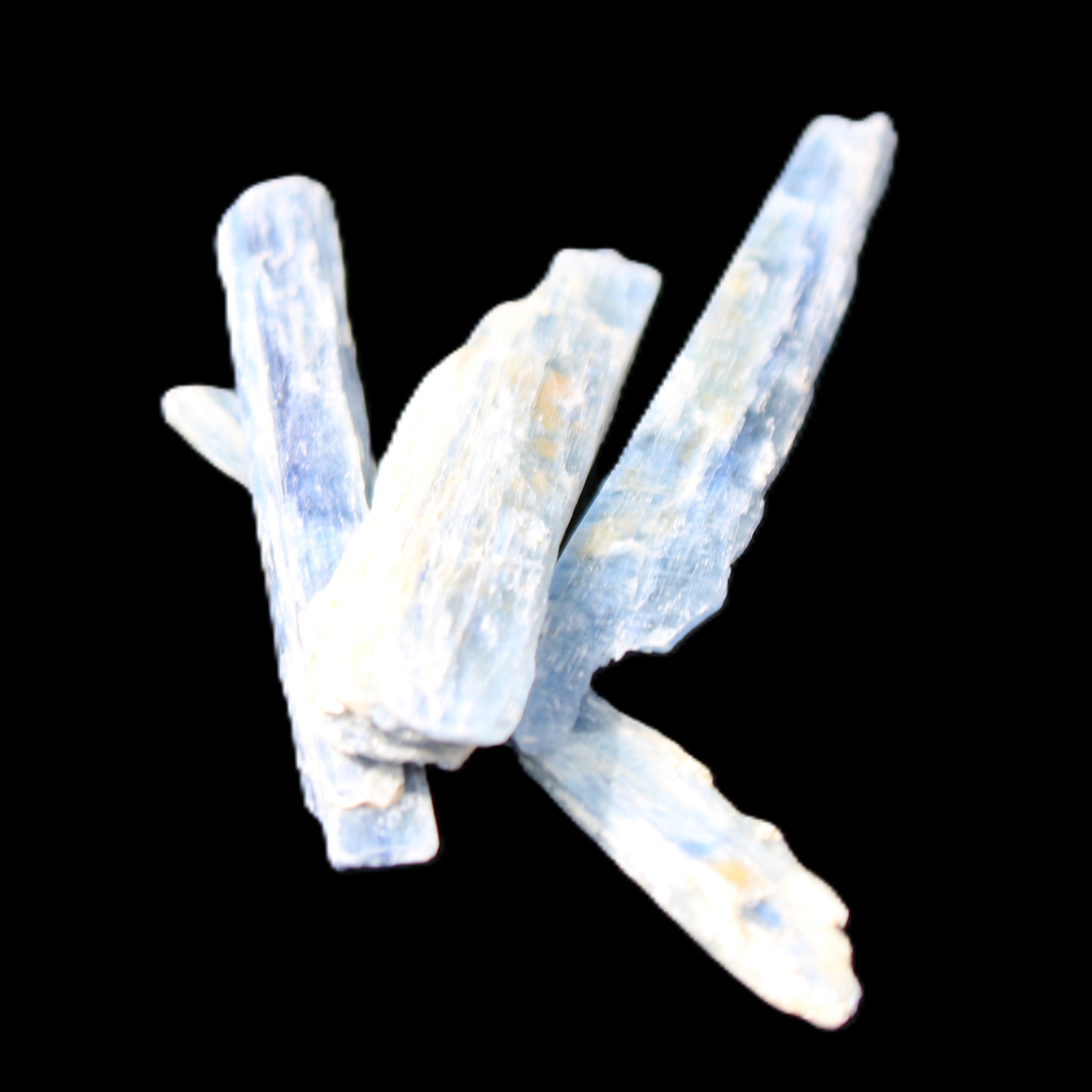 Natural Blue Kyanite blade crystals 8-13g in sunlight - Rocks and Things Store