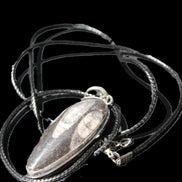 Orthoceras silver-plated oval pendant 42*19*10mm 14.6g in bright sunshine