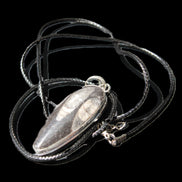 Orthoceras silver-plated oval pendant 42*19*10mm 14.6g in bright sunshine