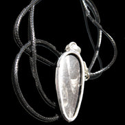 Orthoceras silver-plated oval pendant 42*19*10mm 14.6g in bright sunshine