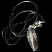 Orthoceras silver-plated oval pendant 42*19*10mm 14.6g in bright sunshine